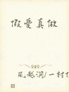 假爱真做