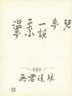 温柔一梦儿媳林梦小说