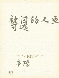 被囚的人鱼无处可逃