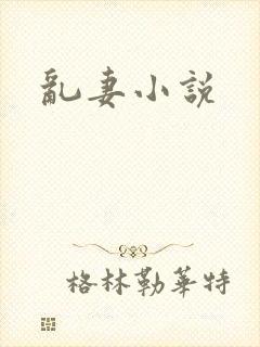 乱妻小说