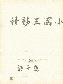 情动三国小说
