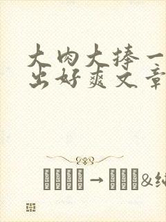 大肉大捧一进一出好爽文章