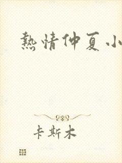 热情仲夏小说