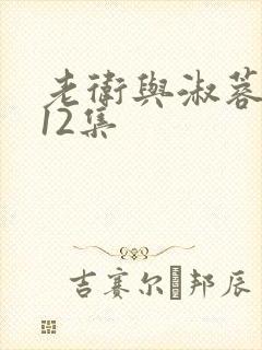 老卫与淑蓉1一12集