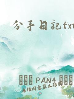分手日记txt