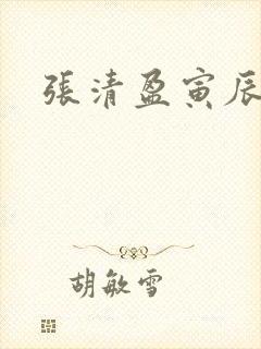 张清盈寅辰小说
