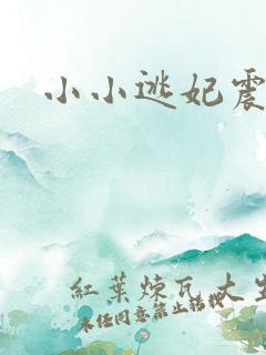 小小逃妃震江山