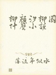 柳颜汐柳国安是什么小说