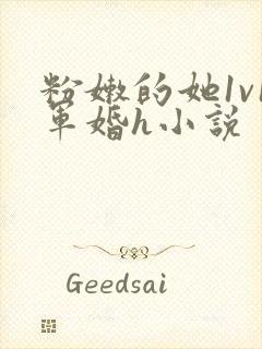 粉嫩的她1v1军婚h小说