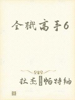 全职高手6