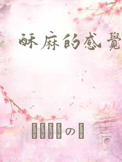 酥麻的感觉小说