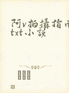 阿v拍摄指南说txt小说