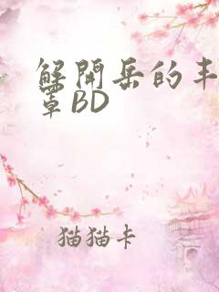 解开岳的丰满奶罩BD