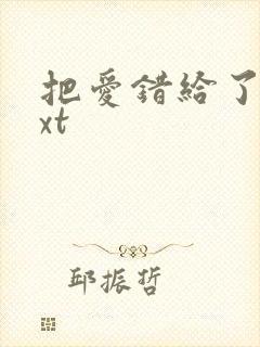 把爱错给了你txt