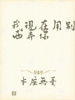 我现在用别的东西弄你