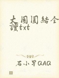 大团圆结全文阅读txt