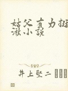 姑父有力挺送徐湫小说