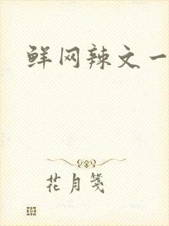 鲜网辣文一对一