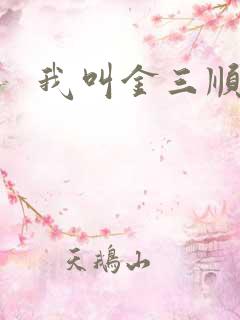 我叫金三顺下载