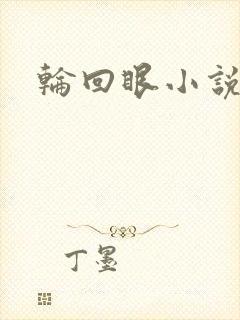 轮回眼小说