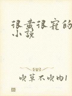 很黄很宠的总裁小说