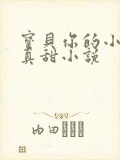 宝贝你的小花园真甜小说