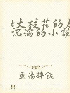 t大校花的屈辱沉沦的小说