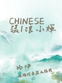 CHINESE猛1浪小辉