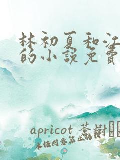 林初夏和江未寒的小说免费阅读