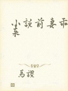 小说前妻乖乖回来