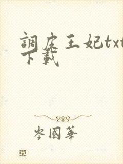 调皮王妃txt下载