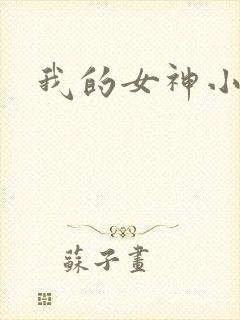 我的女神小说
