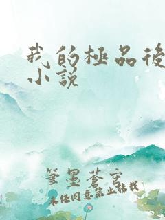 我的极品后宫 小说