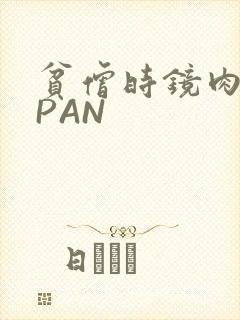 贫僧时镜肉补全PAN