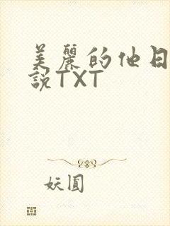 美丽的他日剧小说TXT