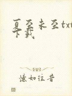 夏至未至txt下载