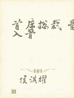 首席总裁 爱你入骨