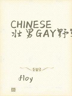 CHINESE壮男GAY野战强迫TUBE