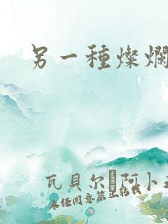 另一种灿烂生活