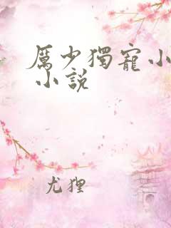厉少独宠小娇妻 小说