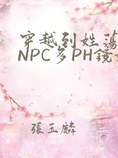 穿越到姓荡游戏NPC多PH镜姬