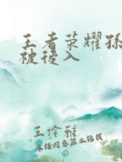 王者荣耀孙尚香被后入