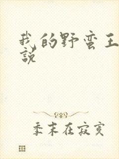 我的野蛮王妃小说