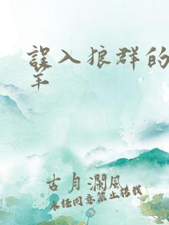 误入狼群的小绵羊