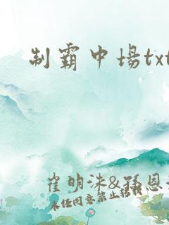 制霸中场txt