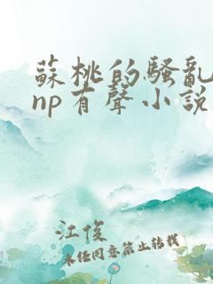 苏桃的骚乱文肉np有声小说