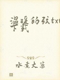 温暖的弦txt下载