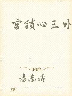 宫锁心玉外传