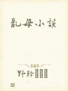乱母小说