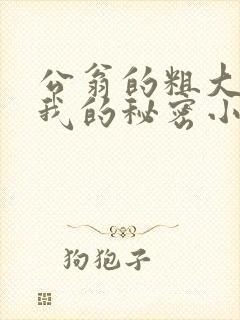 公翁的粗大放进我的秘密小说